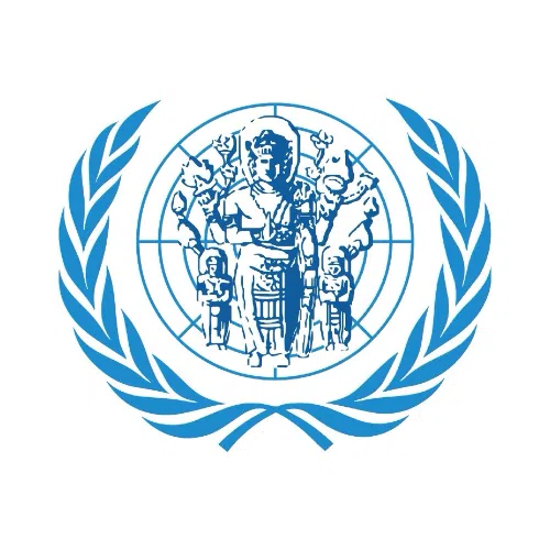 Universitas Brawijaya Model United Nations Club