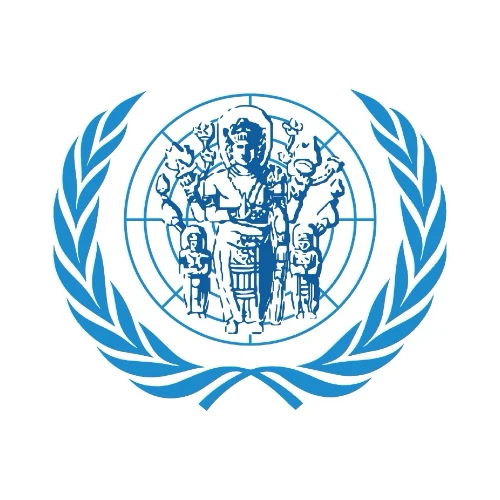 Universitas Brawijaya Model United Nations Club