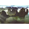Duc Trung NguyenProfile Picture