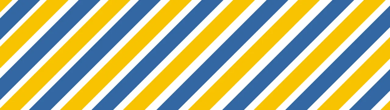 MeriMUN 2024