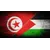 Laith Mostafa  KammounProfile Picture