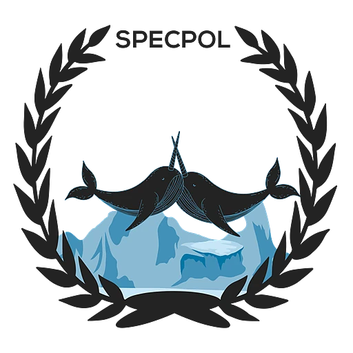 Special Political and Decolonization Committee (SPECPOL)