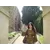 Noshi AliProfile Picture