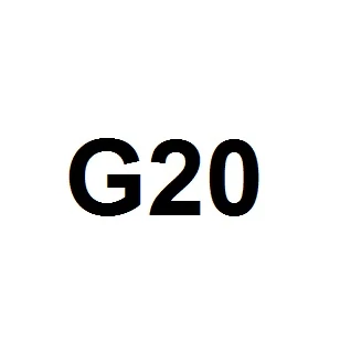 G20