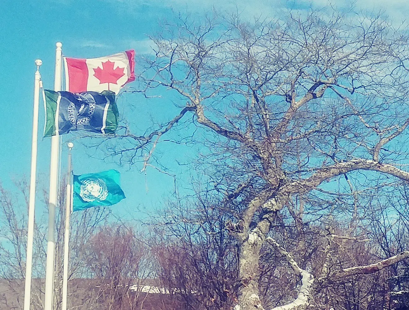 GFMUN III 2019