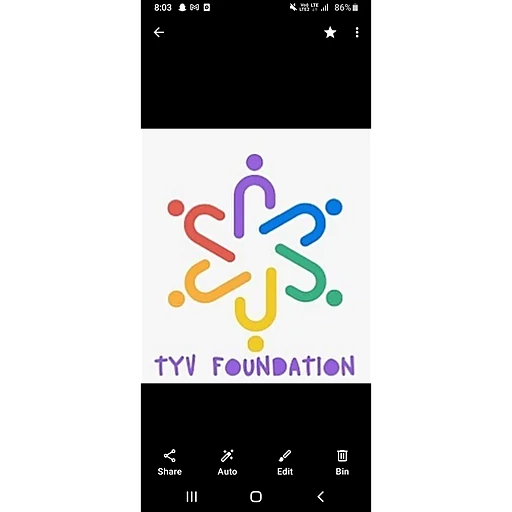 TYVFF 2022 logo