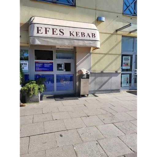Efez Assembly
