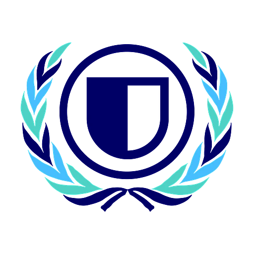 United Nations Security Council (UNSC)
