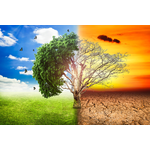 United Nations Environment Assembly