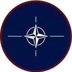 North Atlantic Treaty Organisation (NATO)