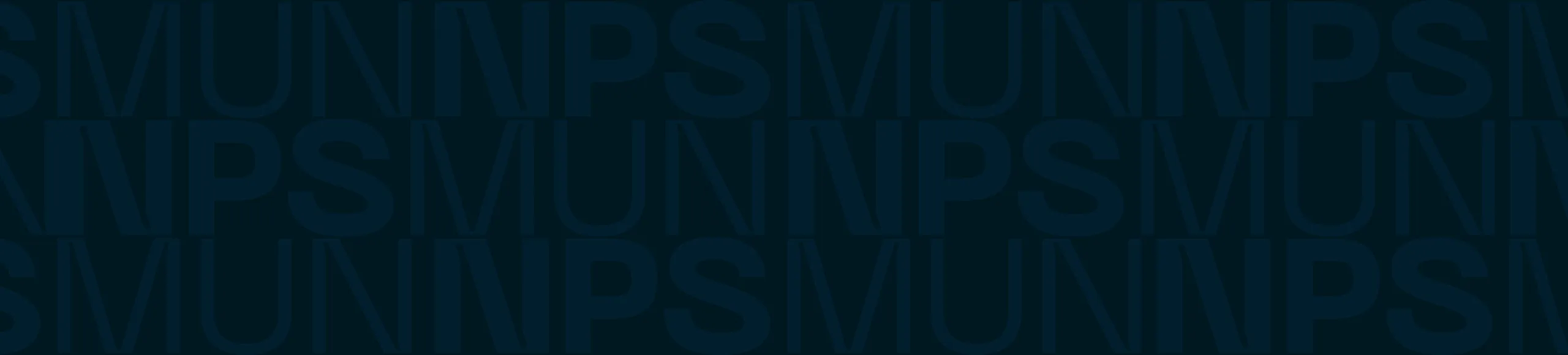NPSMUN 2025