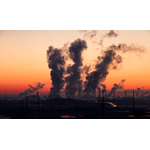 United Nations Environment Assembly