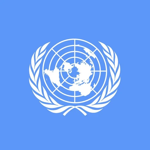United Nations Security Council