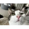 Sophie WhitworthProfile Picture