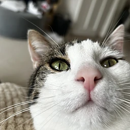 Sophie WhitworthProfile Picture