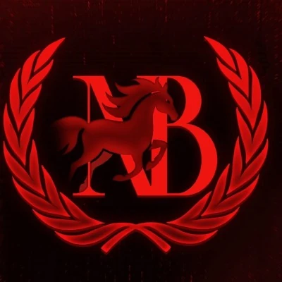 NB MUN 2026 logo