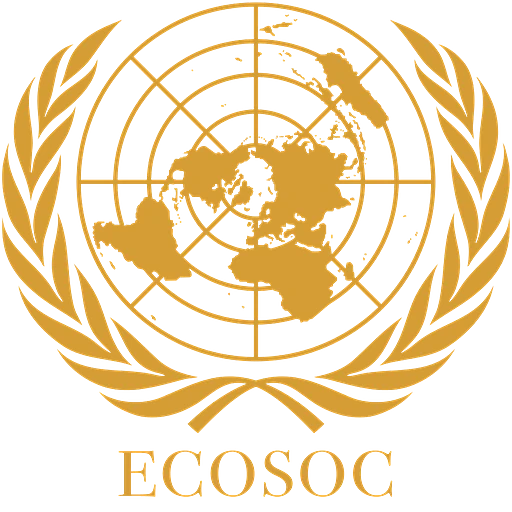 ECOSOC ( beginner )