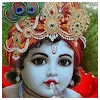 Ashrith  PulipakaProfile Picture