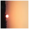 Aarit SapkalProfile Picture