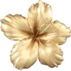 Tehreem LughmaniProfile Picture