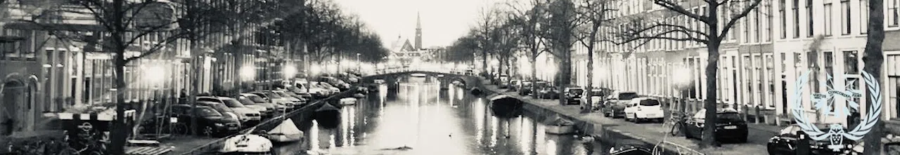 MIMUN Leiden 2020