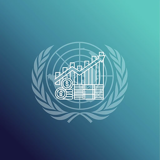 Economic and Social Council (ECOSOC)