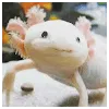 Jakub MrázProfile Picture