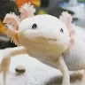 Jakub MrázProfile Picture