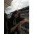 Carolina RayolProfile Picture