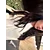 Zainab  BurkiProfile Picture