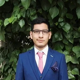 Christopher Alvarado CarrascoProfile Picture