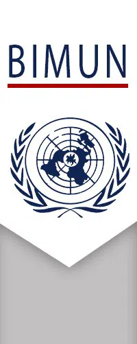 BelIMUN 2019