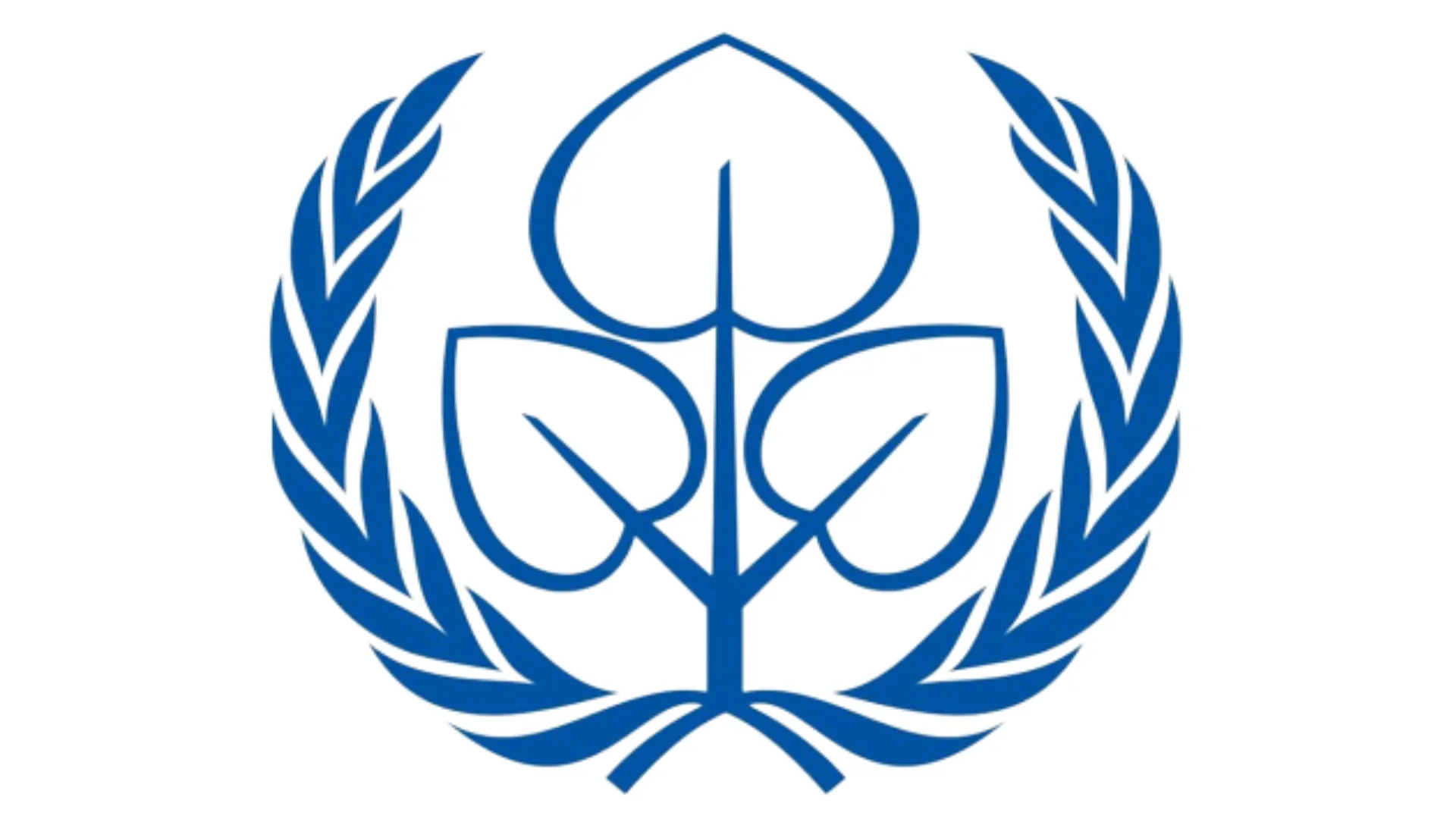 NIMUN XV 2025