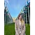 Diana MarteanProfile Picture