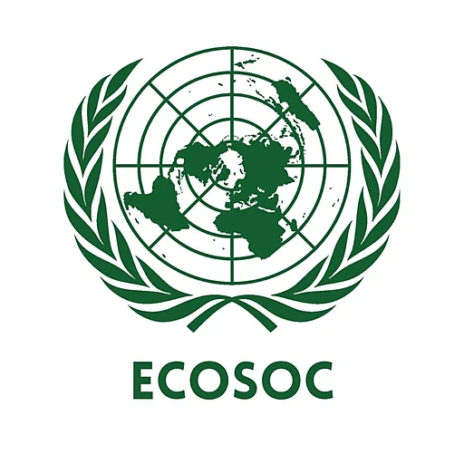 Economic and Social Council (ECOSOC)