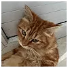Nana NoneProfile Picture