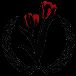 Amsterdam Model United Nations