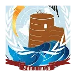 Baku International Model United Nations