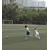 Hanyul (Ryan) ChoProfile Picture