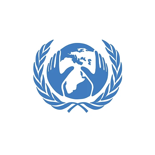 United Nations Economic and Social Council (ECOSOC)