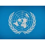 Reforming the United Nations 