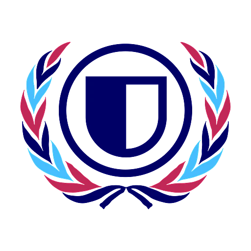 United Nations Security Council (UNSC)