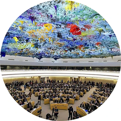 Human Rights Council