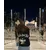 Ada  JunakProfile Picture