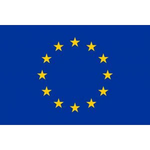 European Council (University Students)