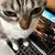 Leona GohdeProfile Picture
