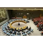 Security Council