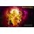 Vedish Srivathsan Profile Picture