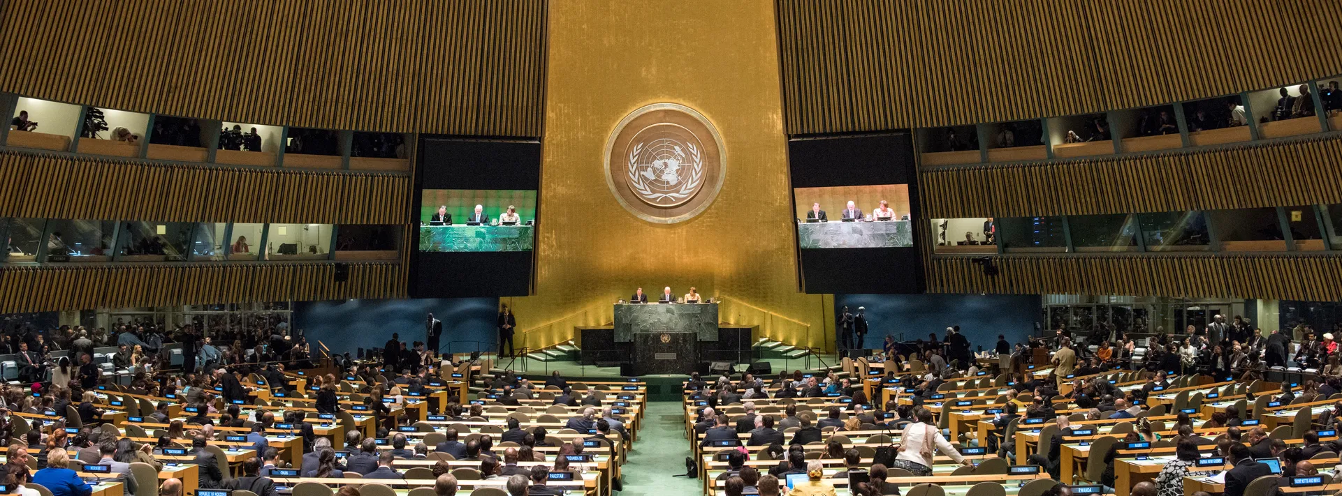 GYNMUN 2024