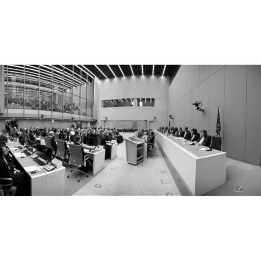 International Criminal Court